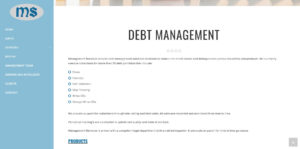 management-services-debt